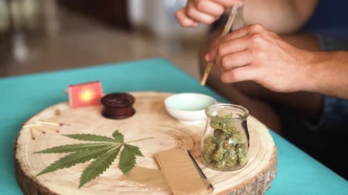 Hands Prepare Plant Matter Joint