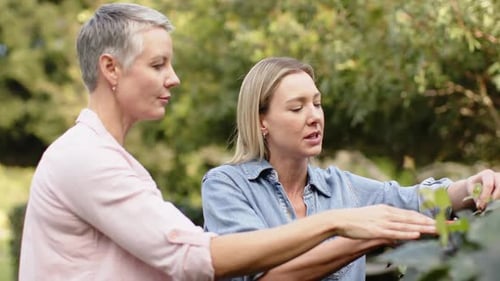 Inspirée par des conseils d'élagage, des amies montrent comment couper des tiges d'arbustes dans la cour avec des cisailles