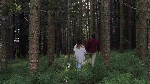 Young couple together walking hand in hand. Light shines the way ahead