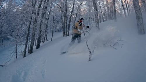Zeitlupe eines Snowboarders, der Freeride im gefrorenen Winterwald fährt Snowboarden