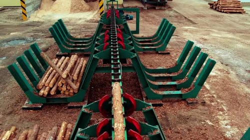 Sorting Logs at the Sawmill