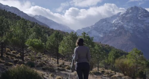Woman hiking in a forest with a picturesque snowy mountain summit in the background
