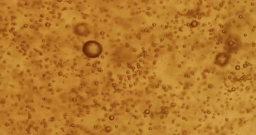 Pouring Craft Beer Into Glass Extreme Close Up Beef Bubbles Yellow Craft Beer
