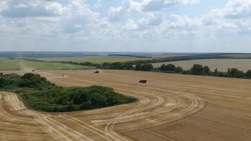 Aerial view on the wheat fields with a lot of heavy machinery, cloudy sky