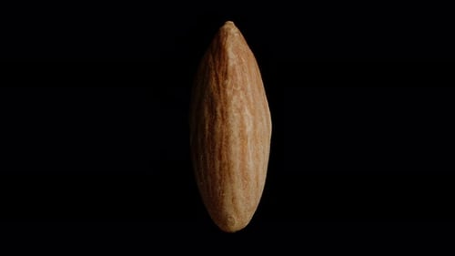 Close-up of an almond, rotating on a black background, looping video. Isolated for insertion.