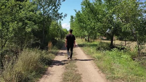 Luftaufnahme eines jungen Mannes, der im Obstgarten spaziert