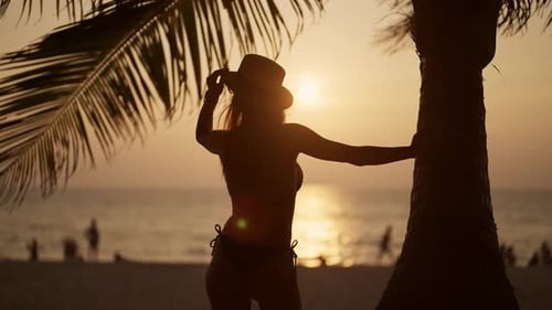 Woman Relaxes on Tropical Island Beach Close Up Woman in Bikini Admire View Under Palm Tree on Sand