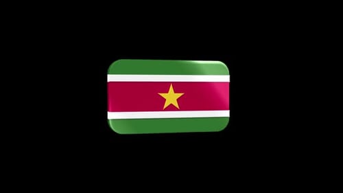 Suriname Flag 3D Glass