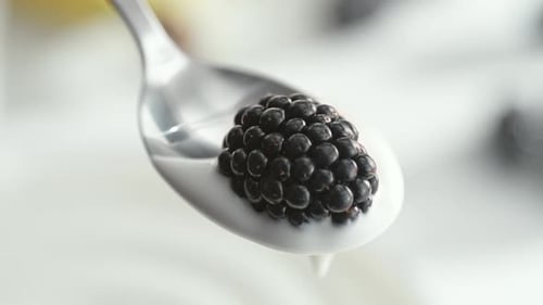 Blackberries and Yogurt on a Spoon, Close-Up