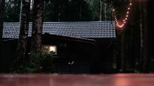 Quaint Cabin in Dark Forest with String Lights