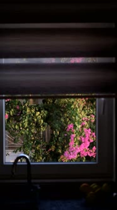 window overlooking a flowering tree, blinds close, vertical video