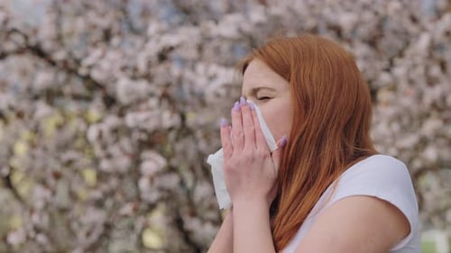 Sneezing Caucasian Woman with Nose Tissue Standing Among Blooming Cherry Trees in Park