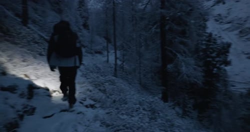 Person Walking Through Snowy Alpine Forest Path in Winter Mountains