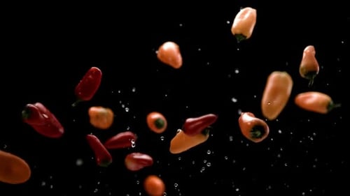 Falling Mini Peppers in Slow Motion on Black