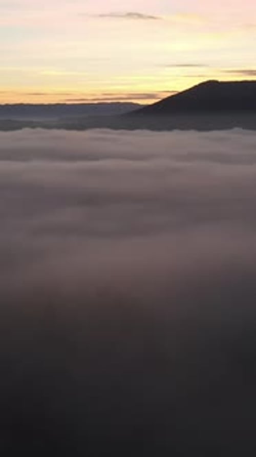 Foggy Nature Drone View