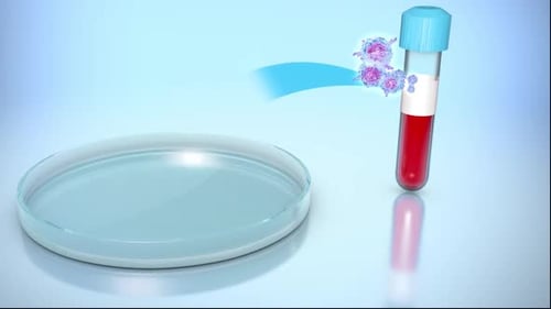 3D Animation of Blood Sample Cells Transferring to Petri Dish