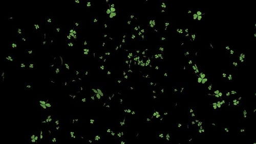 Das Kleeblatt am St. Patrick's Day hinterlässt eine Explosion auf Alpha