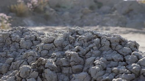 Cracked Arid Ground in Desert Landscape