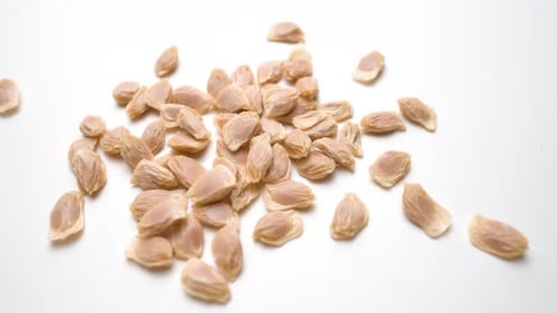 Orange Grapefruit Seeds Slide View On White Table Background