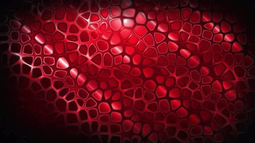 Animation of Texture Cells