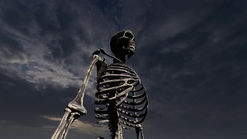 Decaying Human Skeletons