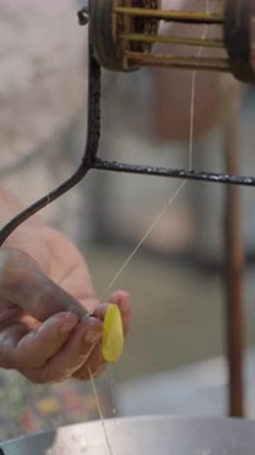 Woman Extracting Silk from Silkworm Cocoons with Equipment