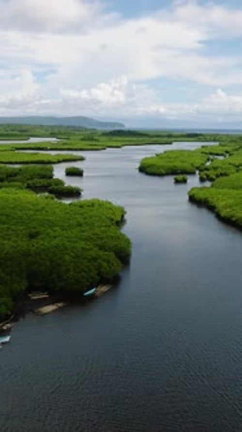 Mangrove Forest with River Channel and Boats Siargao Philippines
