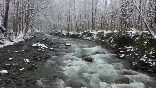 Stream flowing through snowy forest 4k