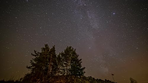 Tree pines on top of mountain with moving stars in starry sky at night. Time-lapse and low angle