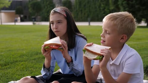 Closeup of a School Children Eating Sandwiches in the Park on the Green Grass