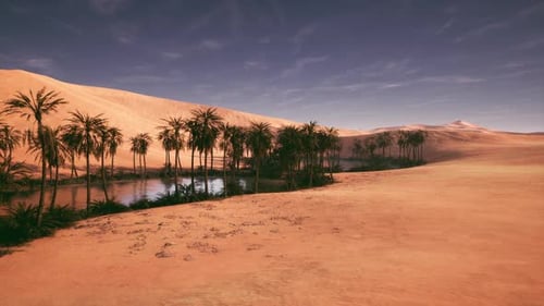 Üppige Oase, umgeben von Wüstensanddünen bei Sonnenuntergang in einer weiten Landschaft