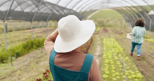 Woman Gardening in Greenhouse on Sunny Day