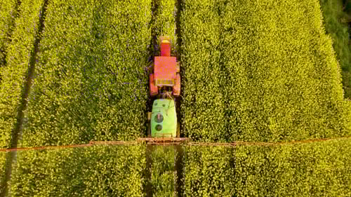Spraying Yellow Blooming Canola Field By Tractor Farming Herbicides and Pesticides Aerial View