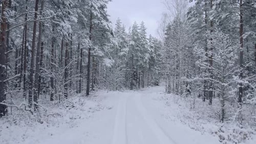 Fly over empty wintery forest road on a gloomy day