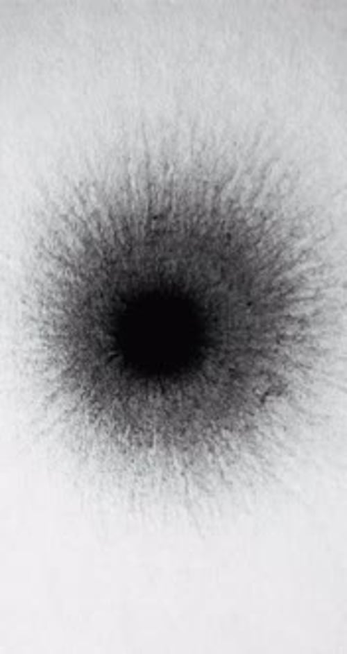 Black Ink Spreading on White Surface Close Up
