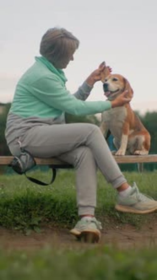 Woman with Dog Woman Calming Beagle in Park Relaxed Woman Petting Dog During Evening Stroll