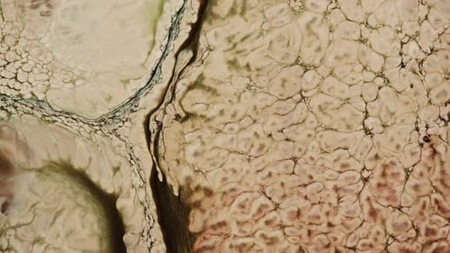 Diffusion de peinture à encre colorée abstraite 91