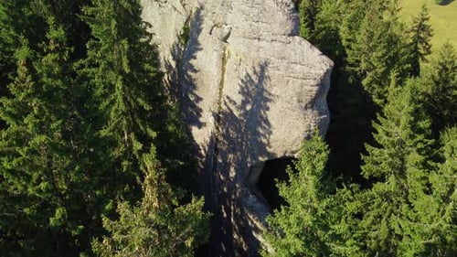 Flying Over a Rocky Mountain Slope Covered with Spruce Forest