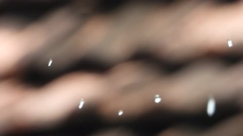 Water drops flowdrops . .