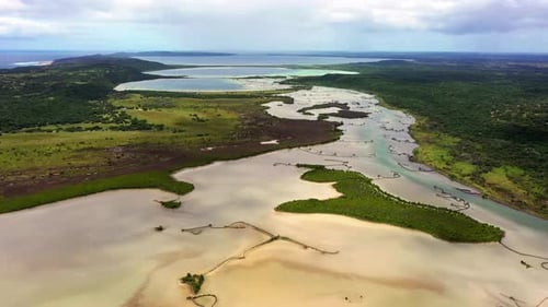Rainforest, landscape and aerial of lake, swamp or wetland for environment, ecology and ecosystem