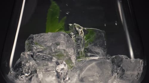 Mint Garnish Ice Cocktail Close Up. Green Leafs Falls Into Cold Glass