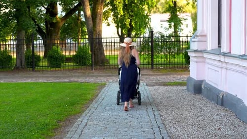 Static shot of a mother walking her baby's stroller with her back to the camera in a park in slow mo
