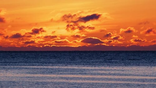 Dramatic Sea Sunset Burning Sky and Shining Waves Warm Clouds and Pure Ocean Water at Sunrise Blue