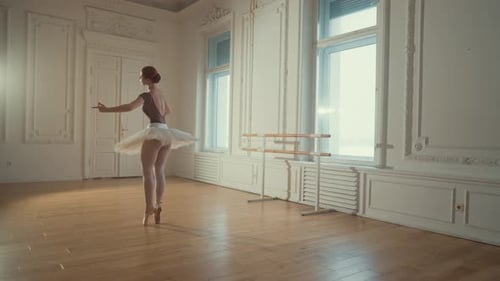 Ballerina Practicing Ballet in Bright Dance Studio