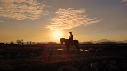 Horse and Rider Silhouetted at Sunrise