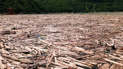 Aerial View of Log Jam Driftwood Accumulation Floating Wood Debris in River Massive Collection of