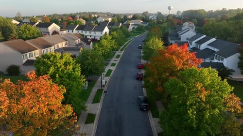 Townhouses in suburb in USA. Aerial shot of autumn foliage lining street in neighborhood.