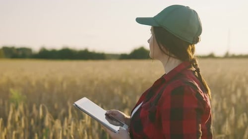 Woman Farmer with Tablet in Wheat Field