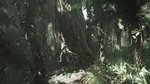 Immersive Lush Tropical Jungle Rainforest Walkthrough