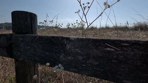 The wood of the old and worn railing separates the area from the field with dry grass and sandy soil